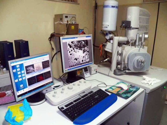  Microscópio eletrônico de varredura (FEG - SEM)