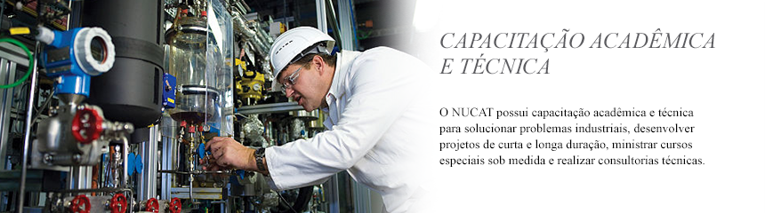 Capacitação Acadêmica e Técnica